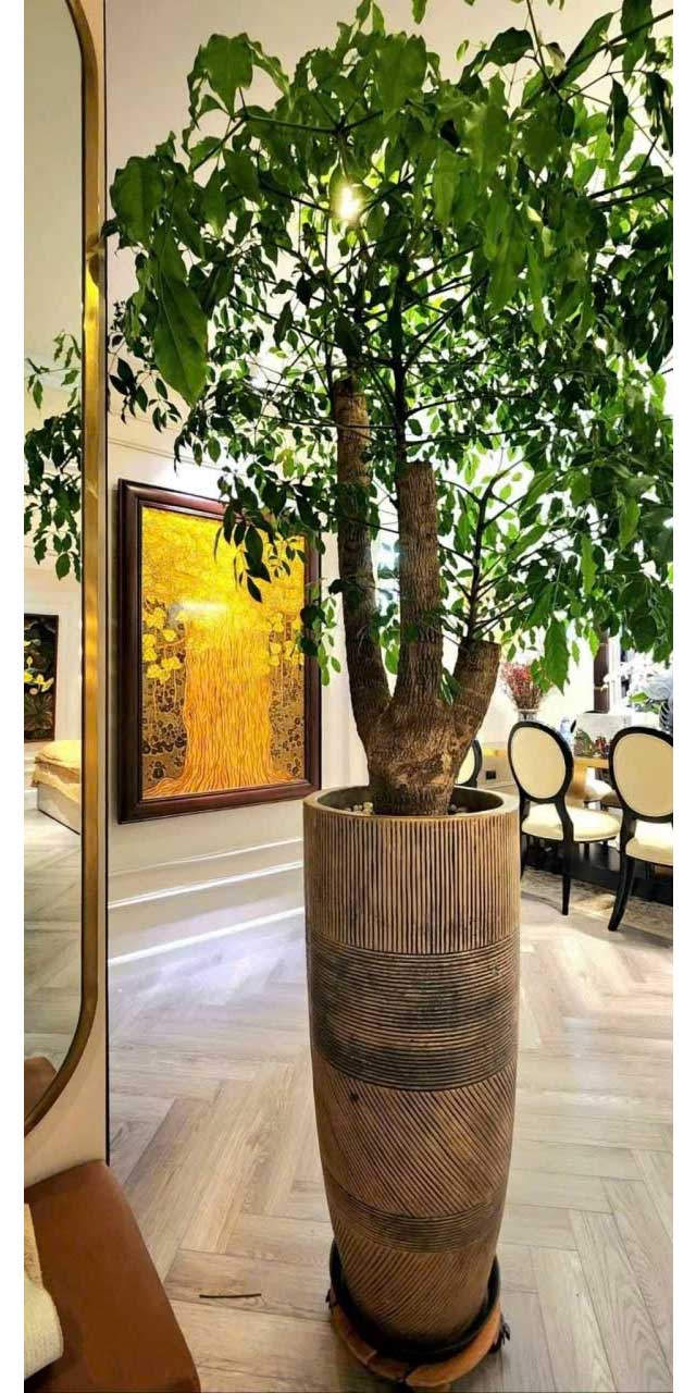 Tranh Sơn Mài Cây Bồ Đề Ngàn Năm Tuổi – Khổ Dọc 1.03m x 73cm